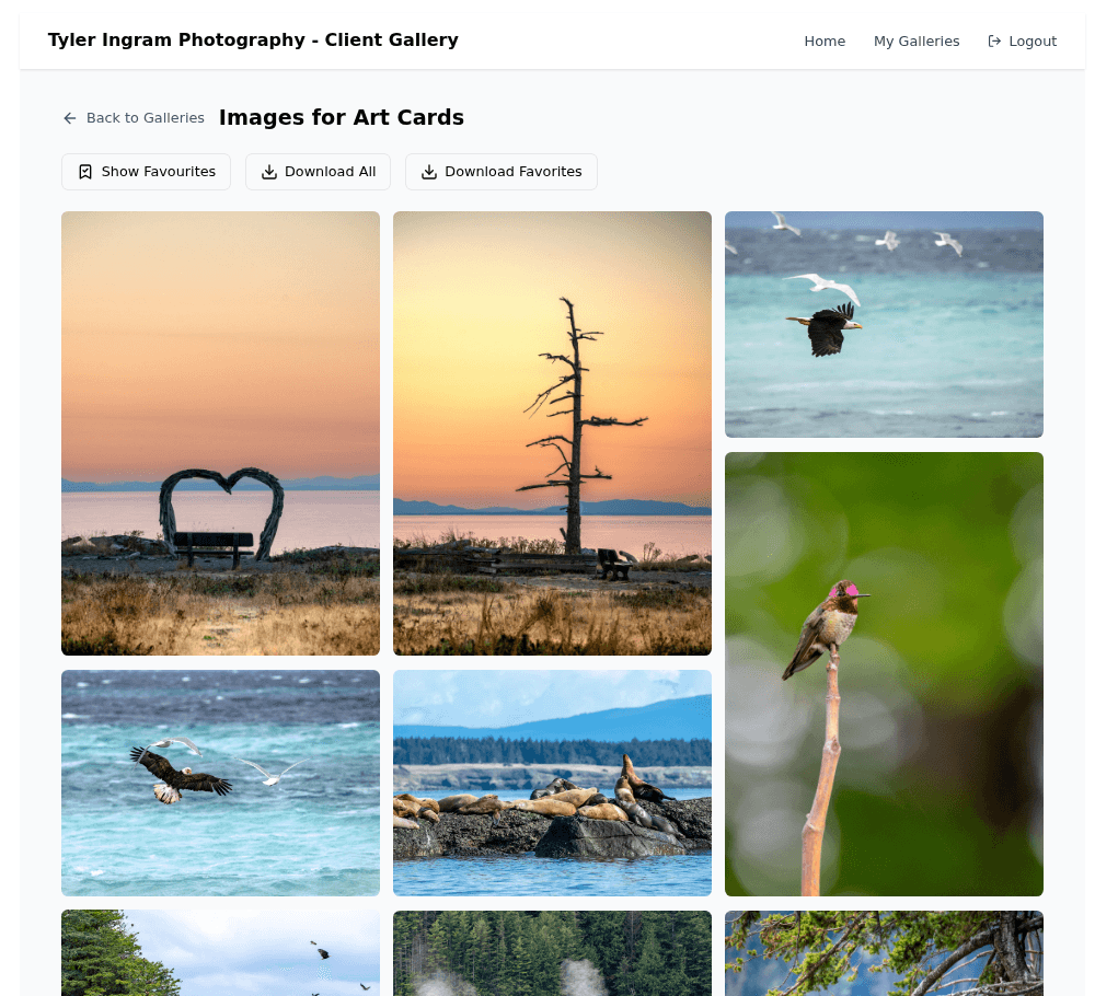 Photography Client Photo Gallery screenshot
