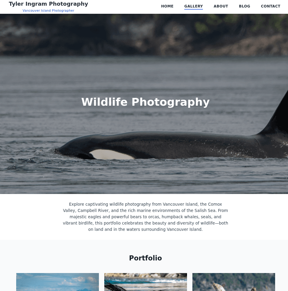 TylerIngram.com screenshot
